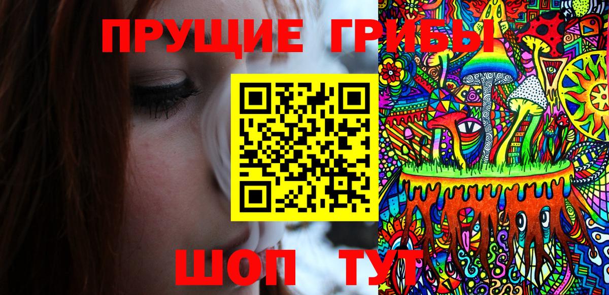 Псилоцибиновые грибы GOLDEN TEACHER Сочи